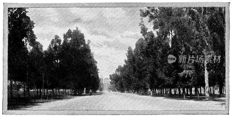 改革大道(改革长廊)在墨西哥城，墨西哥- 19世纪